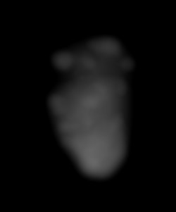 Member Image