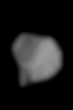 Member Image
