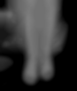 Member Image