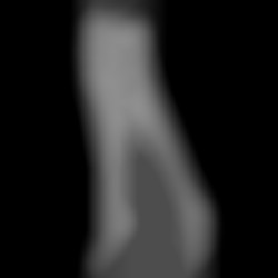 Member Image