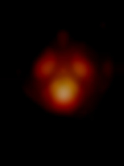 Member Image