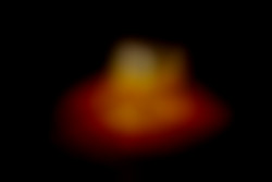 Member Image
