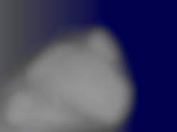 Member Image