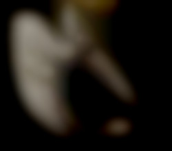 Member Image