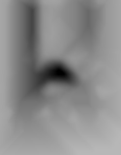 Member Image