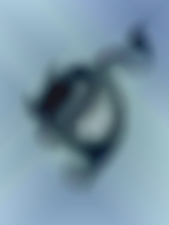 Member Image