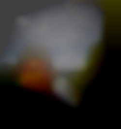 Member Image