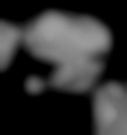 Member Image