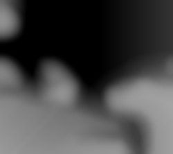 Member Image