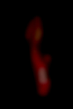 Member Image
