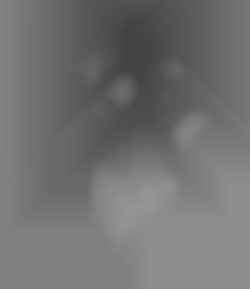 Member Image