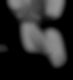 Member Image