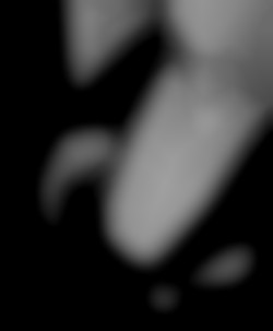 Member Image