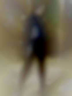 Member Image