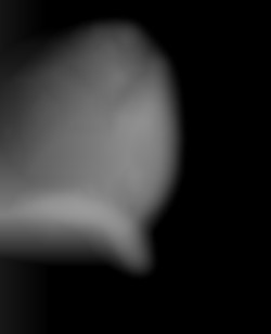 Member Image