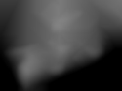 Member Image