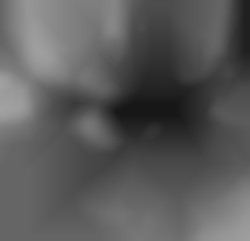 Member Image