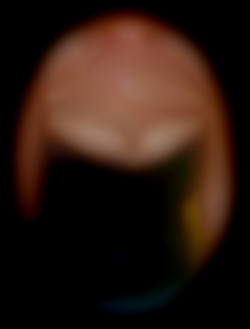 Member Image