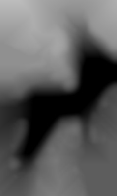 Member Image