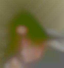 Member Image