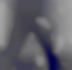 Member Image