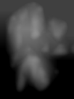 Member Image