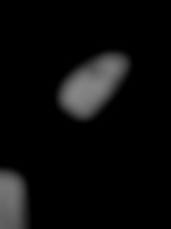 Member Image