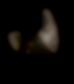 Member Image