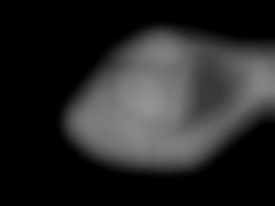 Member Image