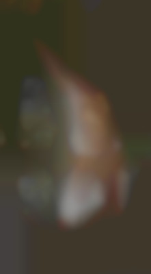 Member Image