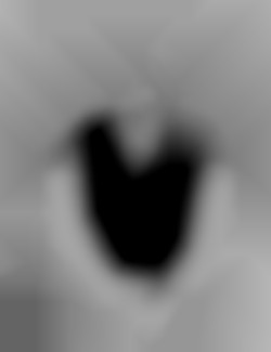 Member Image
