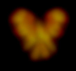 Member Image