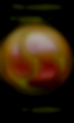 Member Image