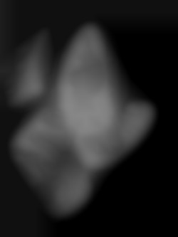 Member Image