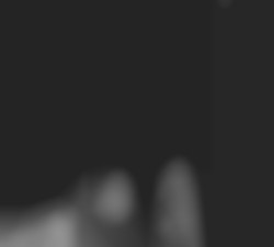Member Image