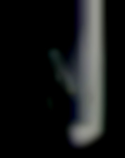 Member Image