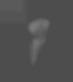 Member Image