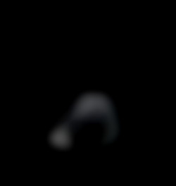 Member Image