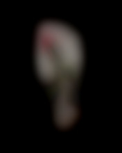 Member Image