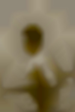 Member Image