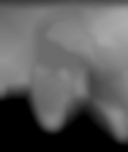 Member Image