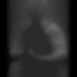 Member Image