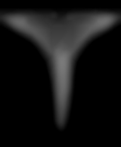 Member Image