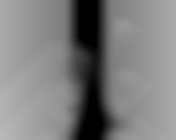Member Image