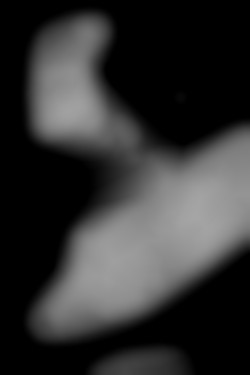 Member Image