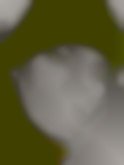 Member Image