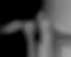 Member Image
