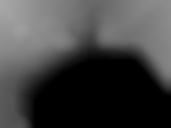 Member Image