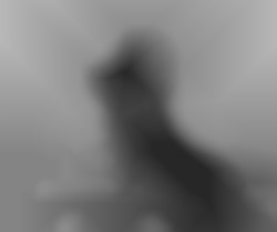Member Image