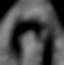 Member Image
